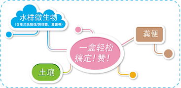 磁珠家族新成員 生工生物為生命科學提供更全面的產(chǎn)品與技術服務